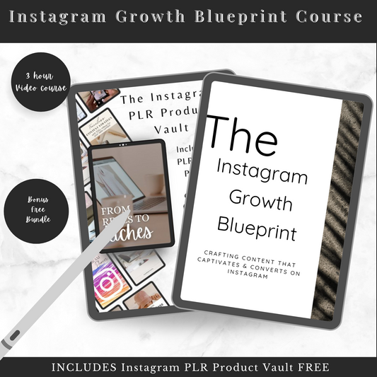 The Instagram Growth Blueprint Video Course - with Instagram PLR Product Vault FLASH SALE